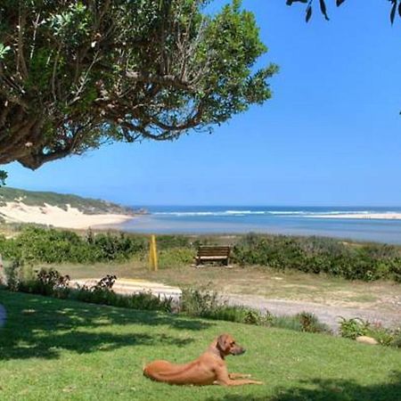 Milkwood Manor B & B Kenton on Sea Εξωτερικό φωτογραφία
