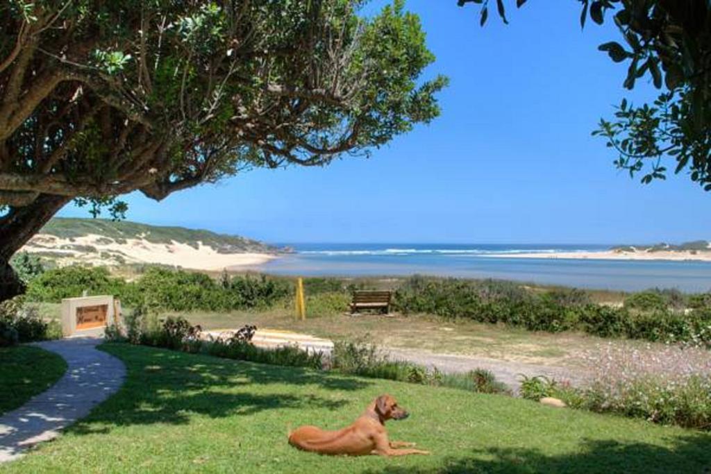 Milkwood Manor B & B Kenton on Sea Εξωτερικό φωτογραφία